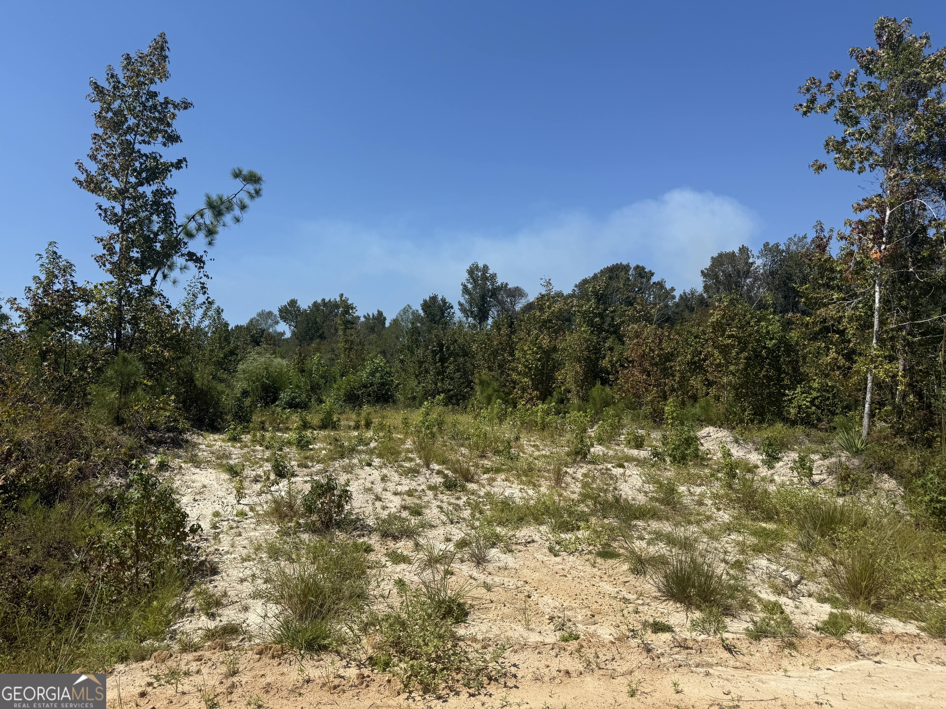 467 Alton Stewart Road East Dublin, GA 31027 - Photo 3 of 12