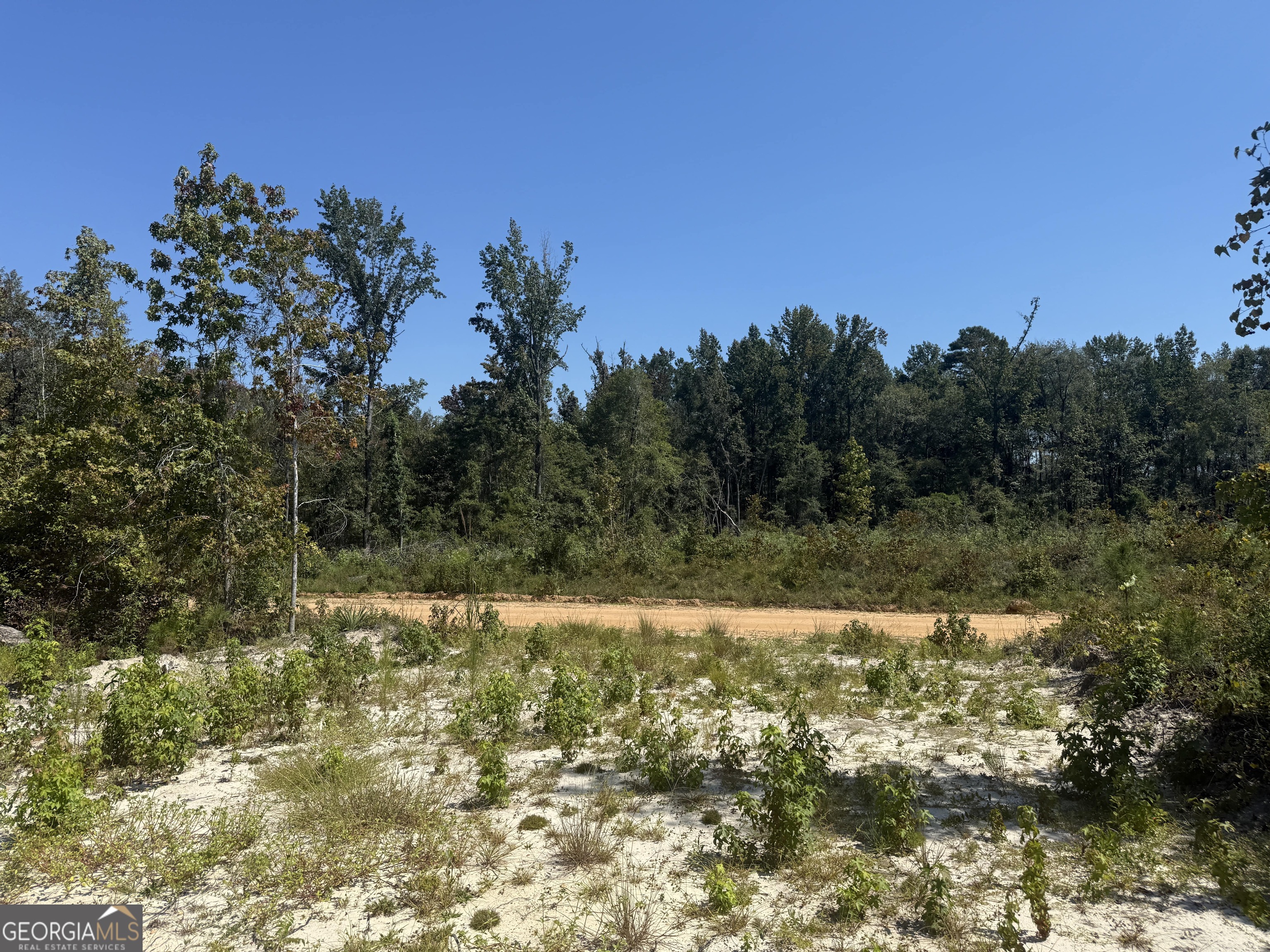 467 Alton Stewart Road East Dublin, GA 31027 - Photo 4 of 12