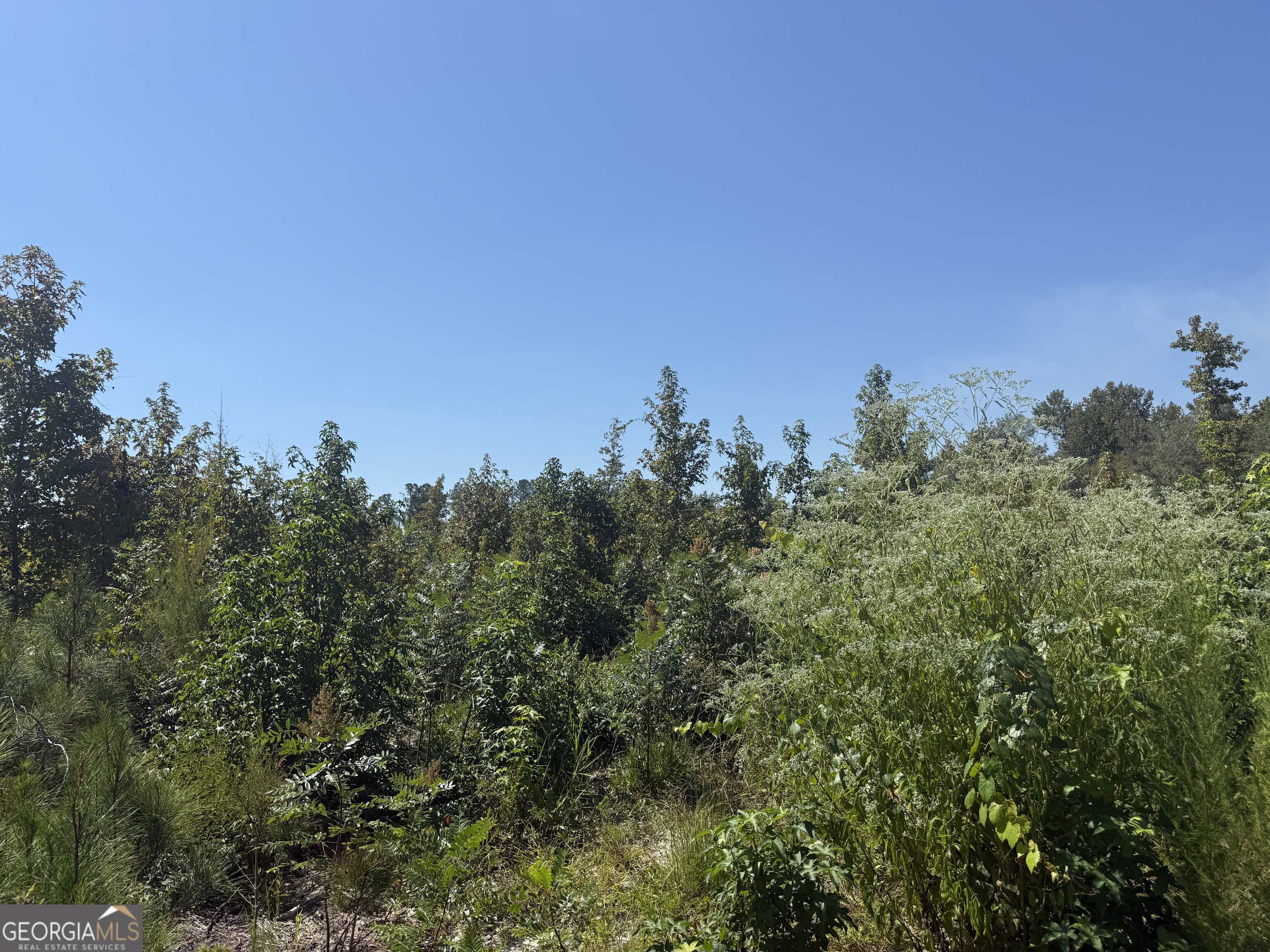 467 Alton Stewart Road East Dublin, GA 31027 - Photo 5 of 12