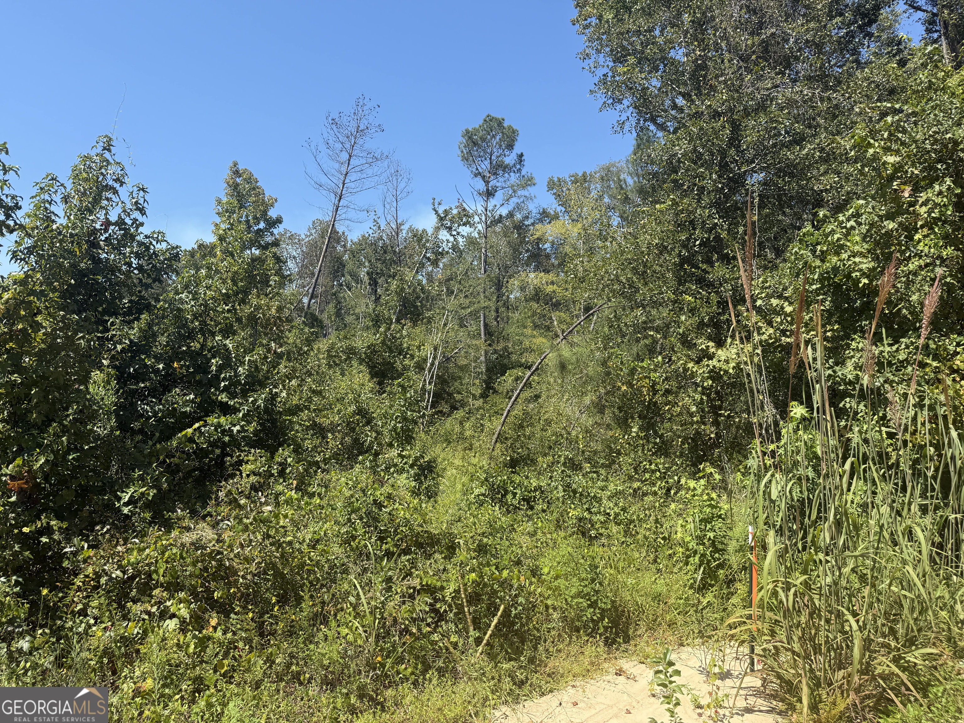 467 Alton Stewart Road East Dublin, GA 31027 - Photo 6 of 12