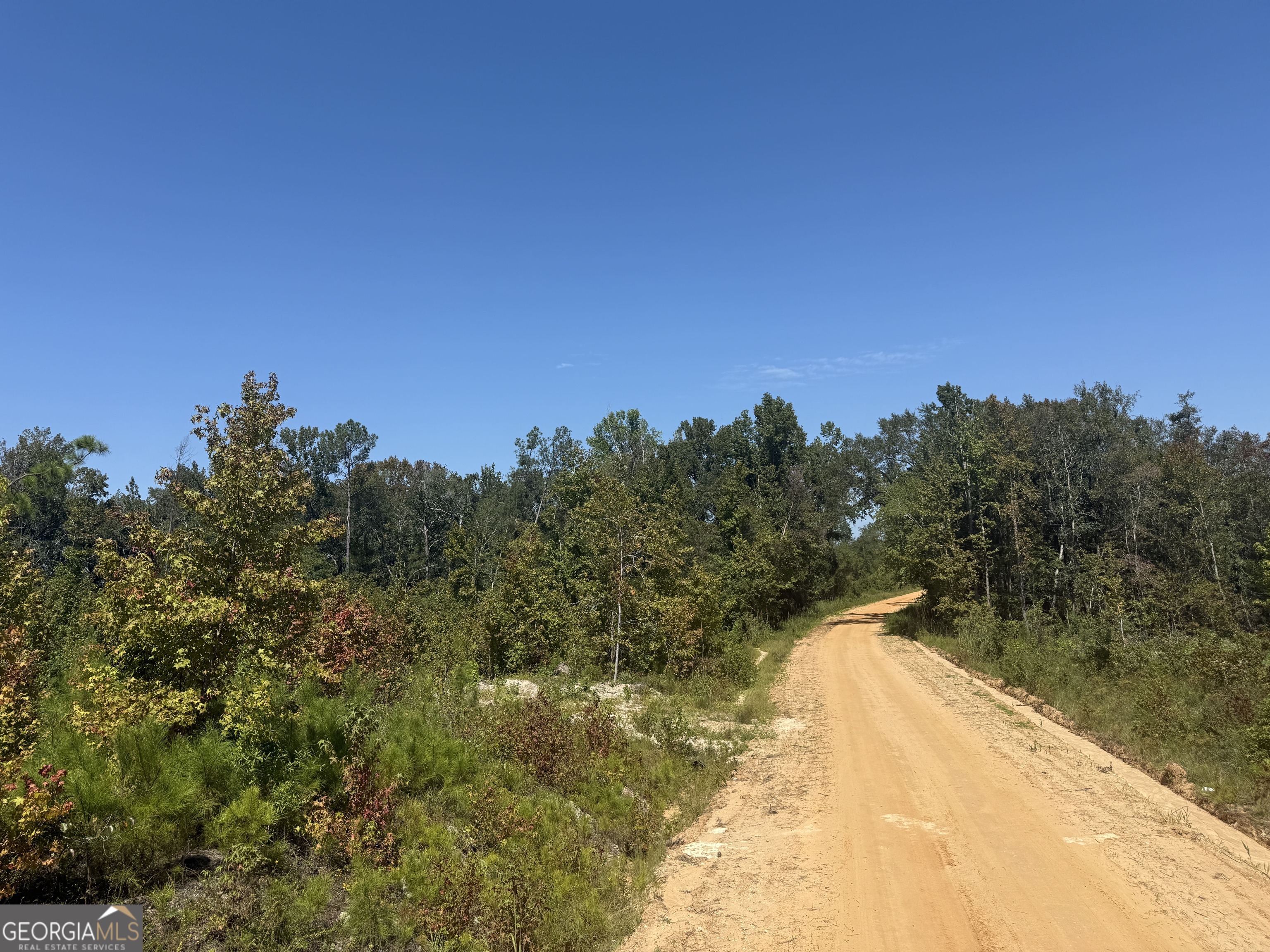 467 Alton Stewart Road East Dublin, GA 31027 - Photo 7 of 12