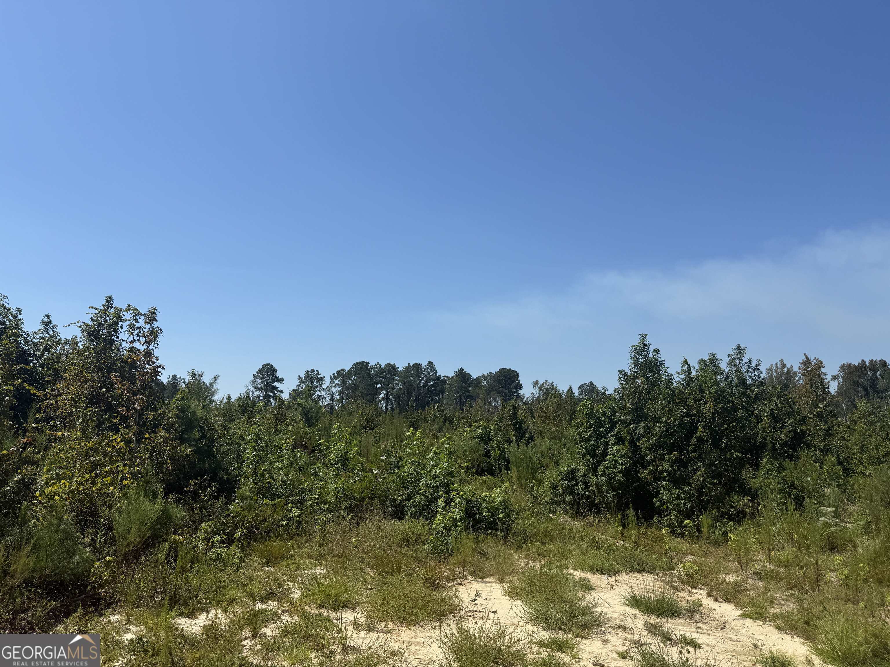 467 Alton Stewart Road East Dublin, GA 31027 - Photo 9 of 12