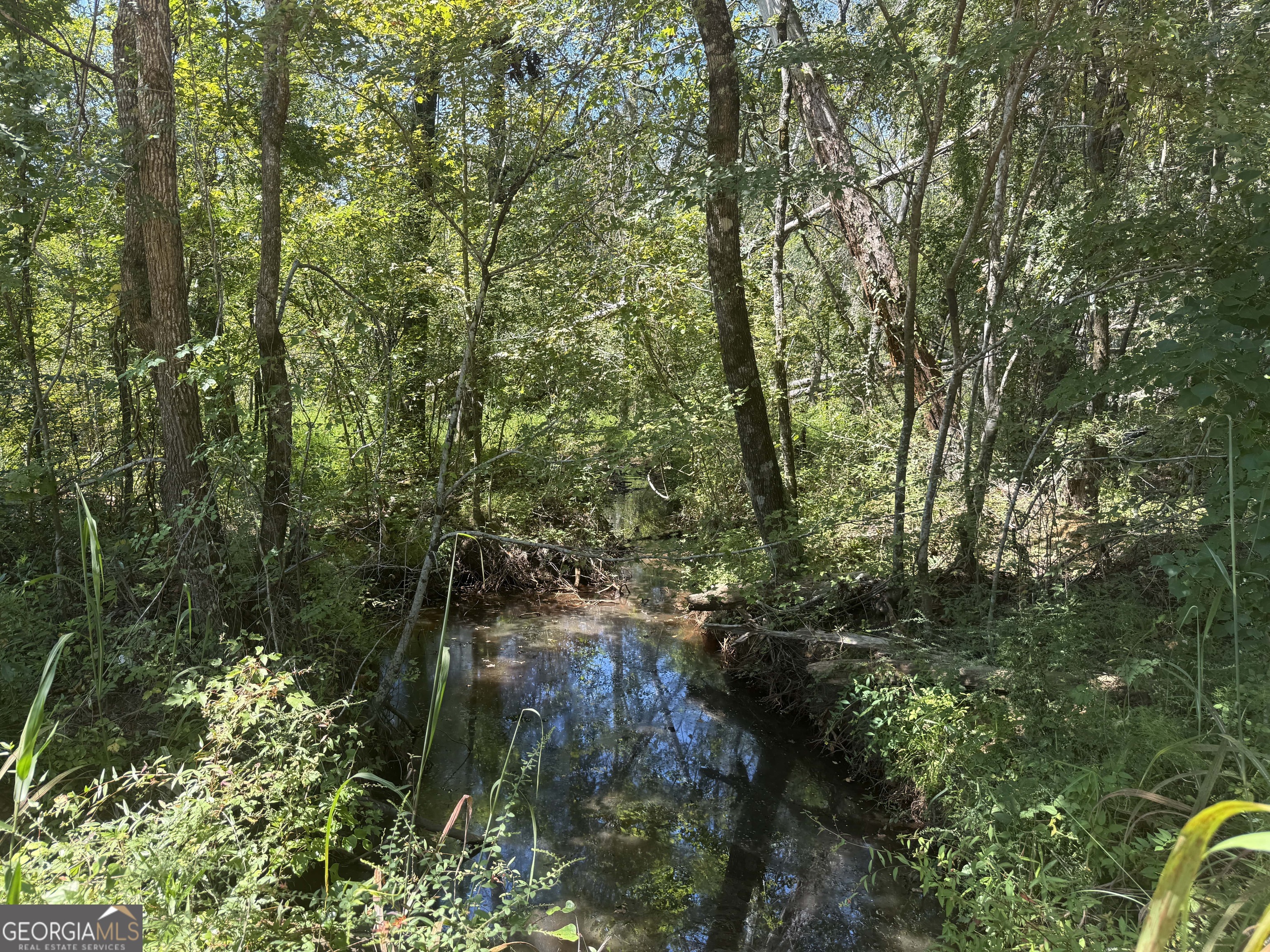 467 Alton Stewart Road East Dublin, GA 31027 - Photo 10 of 12