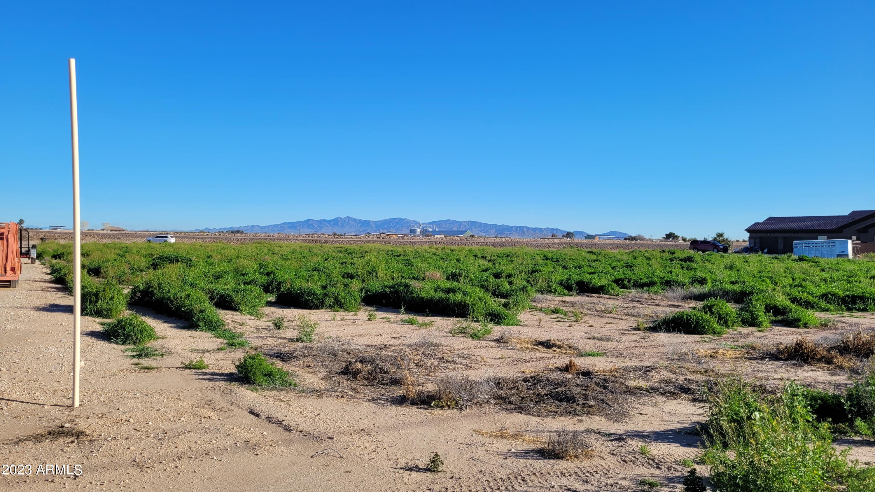 9728 South Bruner Road, Unit 2 Buckeye, AZ 85326 - Photo 9 of 23 2023-02-07 09.14.07