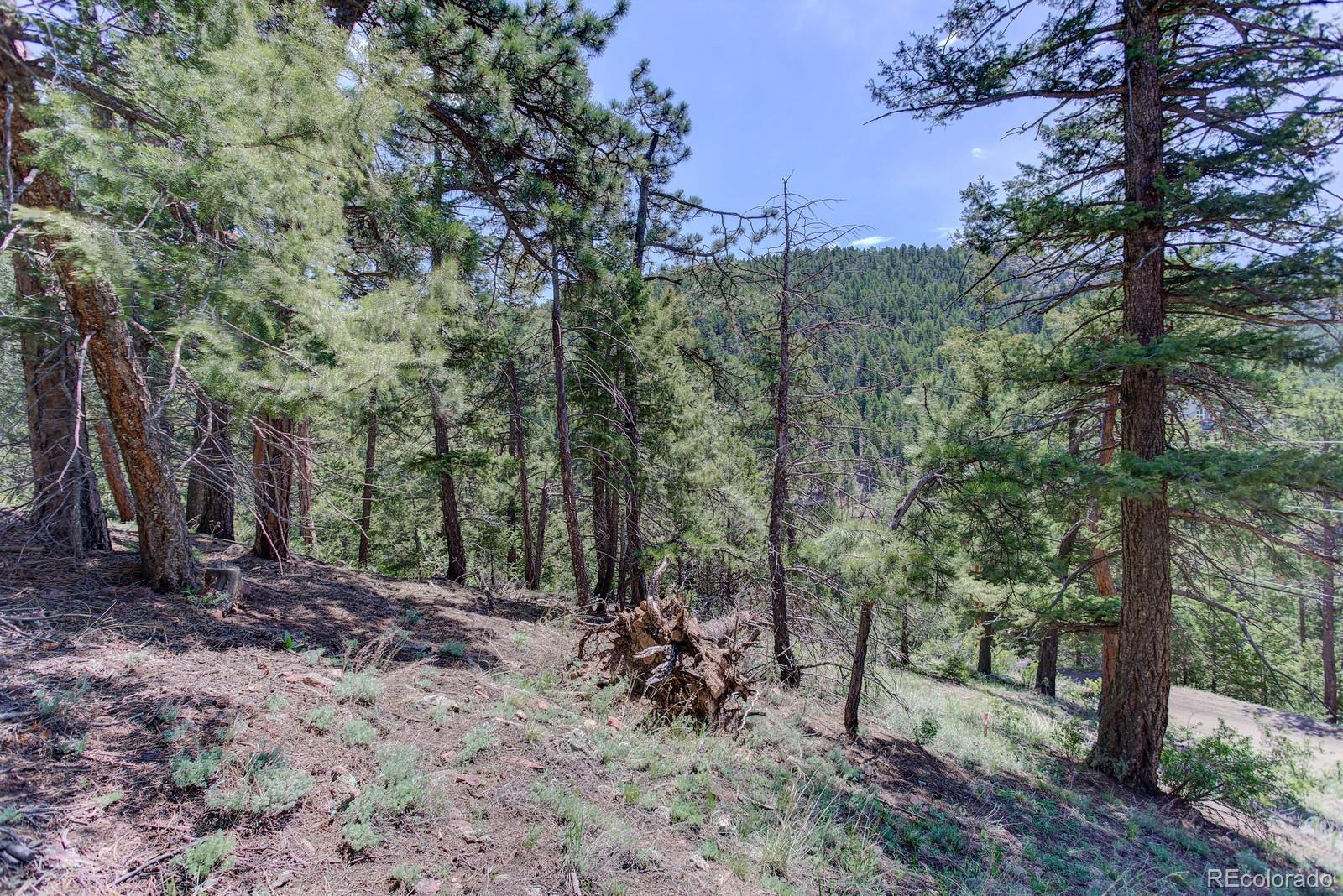 13308 Elsie Road Conifer, CO 80433 - Photo 11 of 16 Gallery Image 11