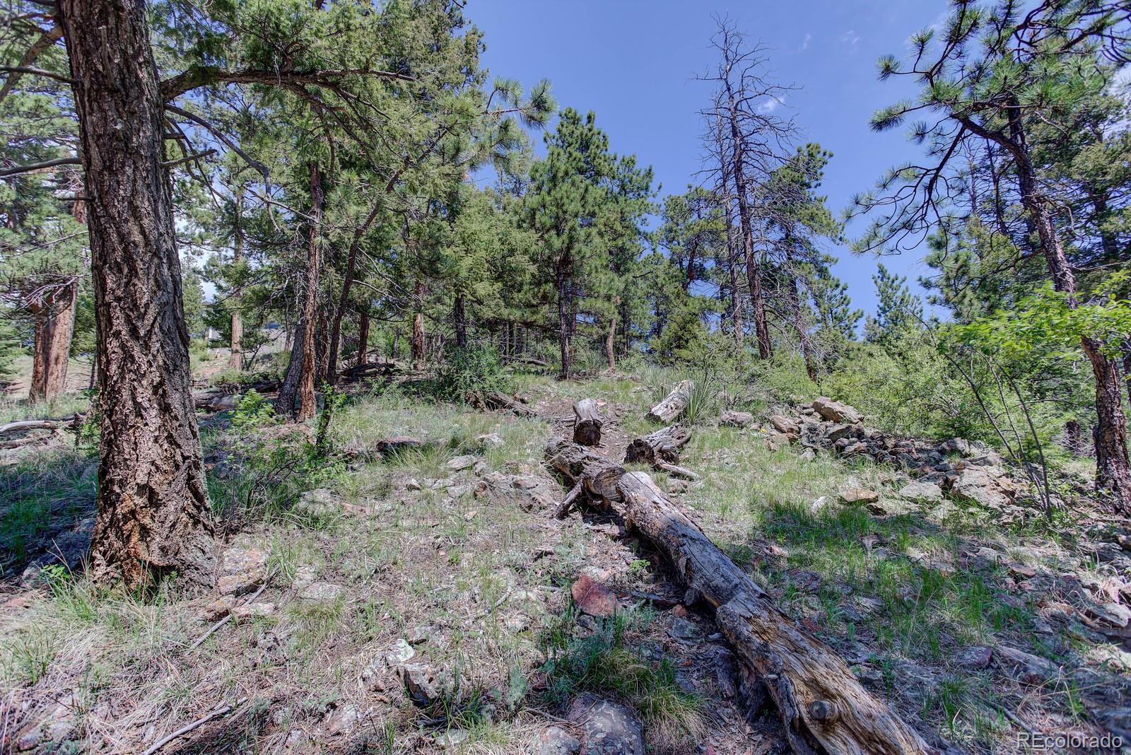 13308 Elsie Road Conifer, CO 80433 - Photo 12 of 16 Gallery Image 12