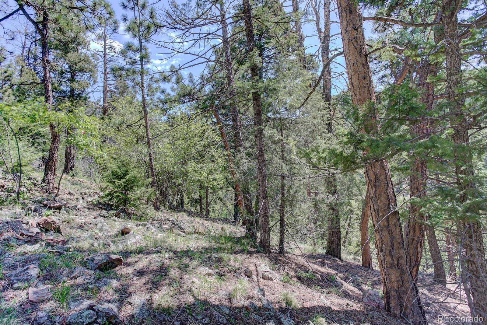 13308 Elsie Road Conifer, CO 80433 - Photo 13 of 16 Gallery Image 13