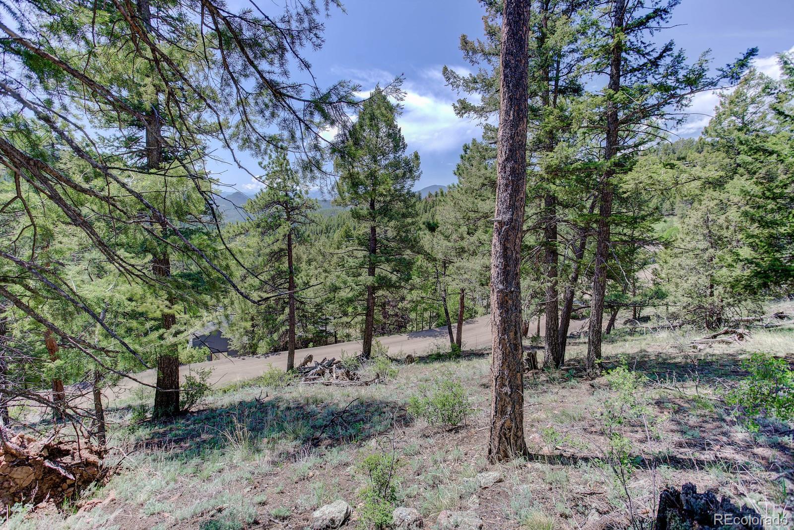 13308 Elsie Road Conifer, CO 80433 - Photo 14 of 16 Gallery Image 14