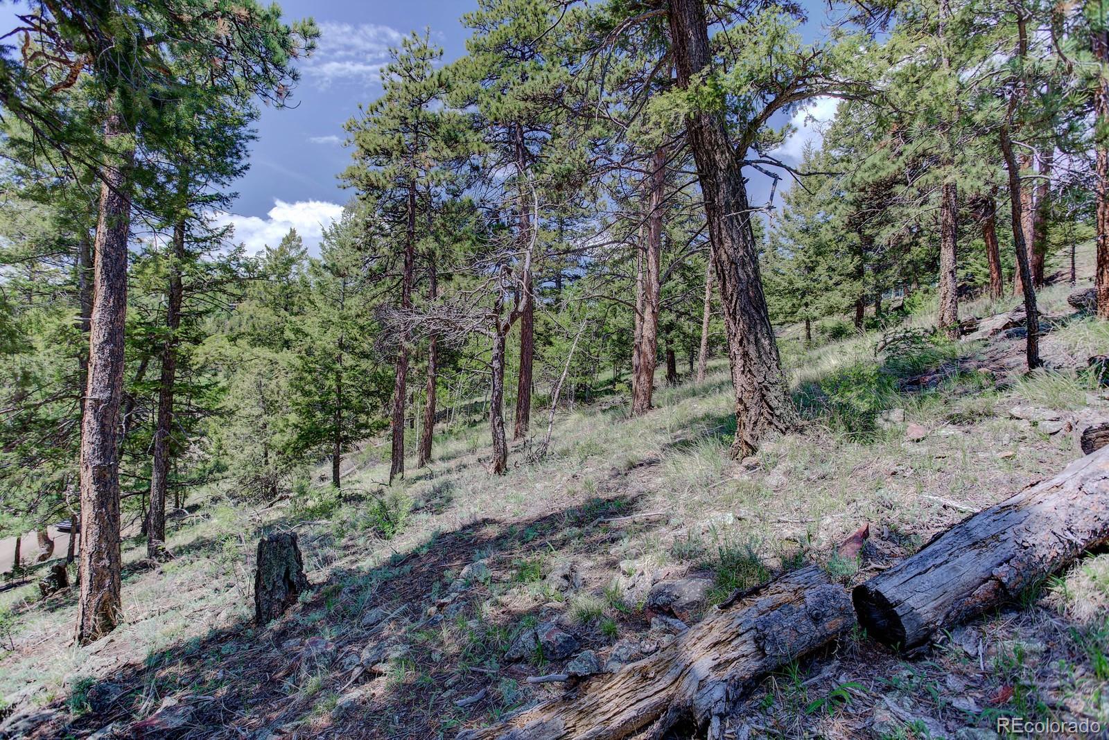 13308 Elsie Road Conifer, CO 80433 - Photo 15 of 16 Gallery Image 15