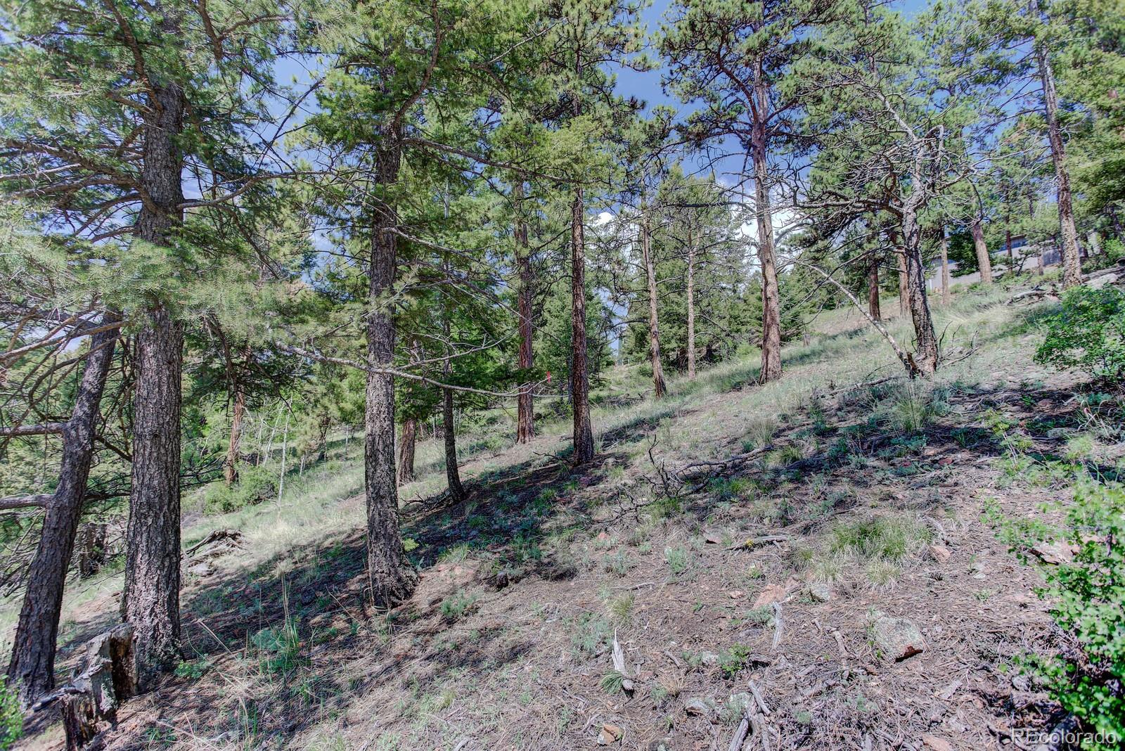 13308 Elsie Road Conifer, CO 80433 - Photo 8 of 16 Gallery Image 8
