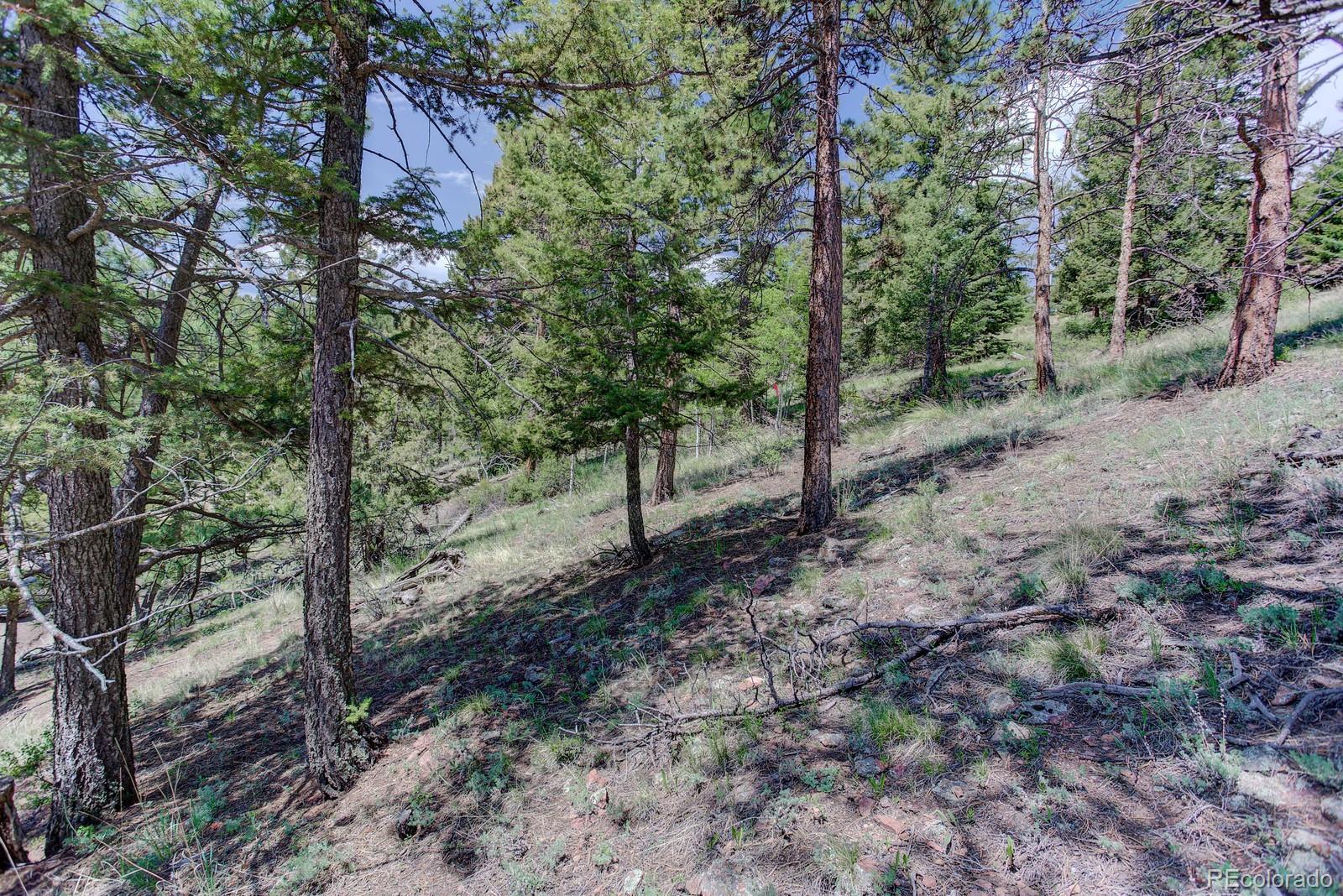13308 Elsie Road Conifer, CO 80433 - Photo 10 of 16 Gallery Image 10