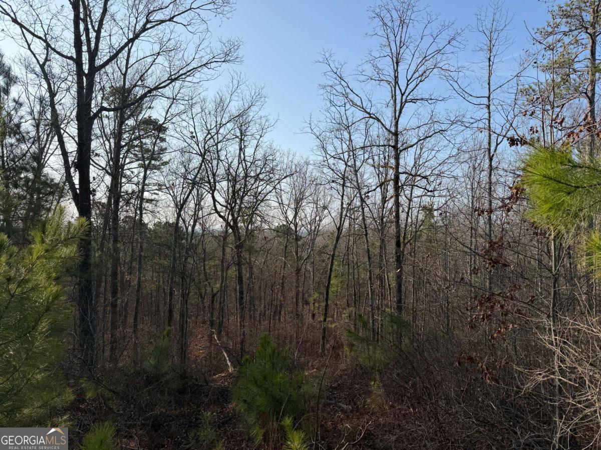 0 Lower Sweetwater Road Canton, GA 30114 - Photo 1 of 1 Gallery Image 1