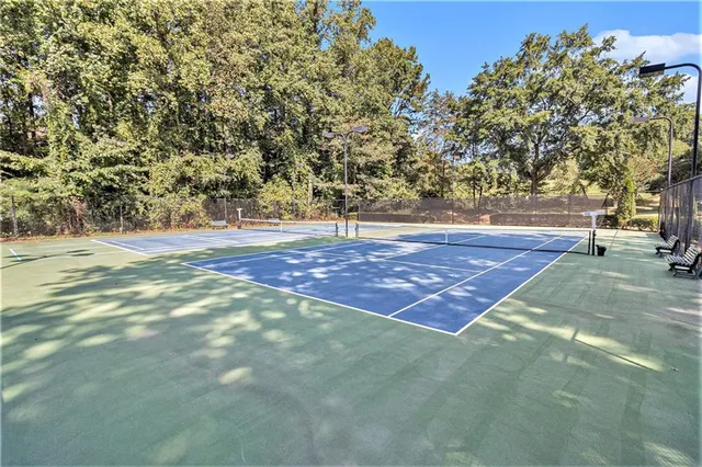a view of a yard with a tree