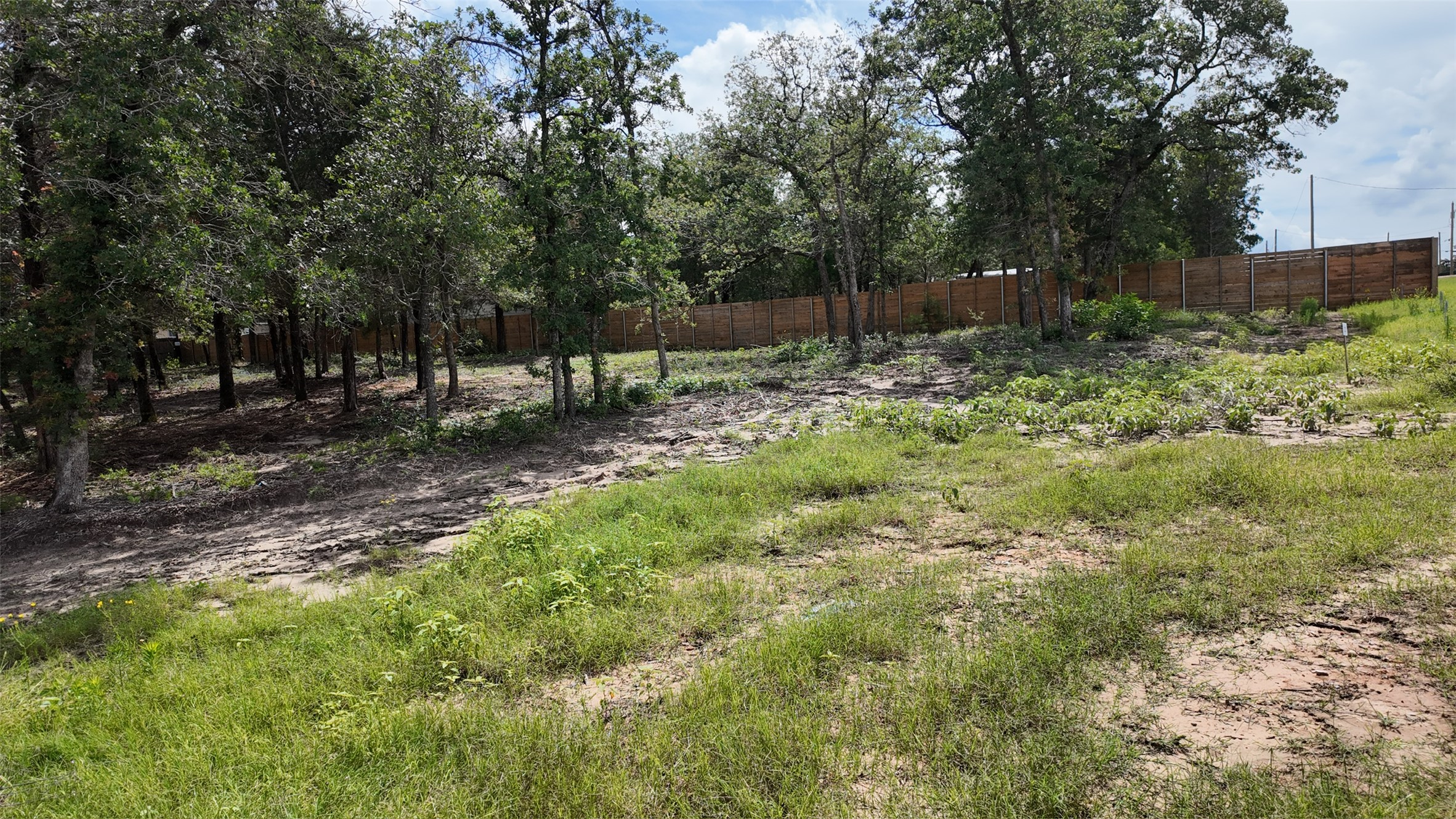 160 Los Robles Road Elgin, TX 78621 - Photo 2 of 4 A spacious, tree-lined lot offering abundant potential for building, bordered by a privacy fence.