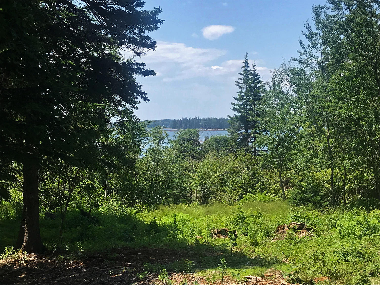 2 Main Street Islesford, ME 04646 - Photo 21 of 31 Lot view