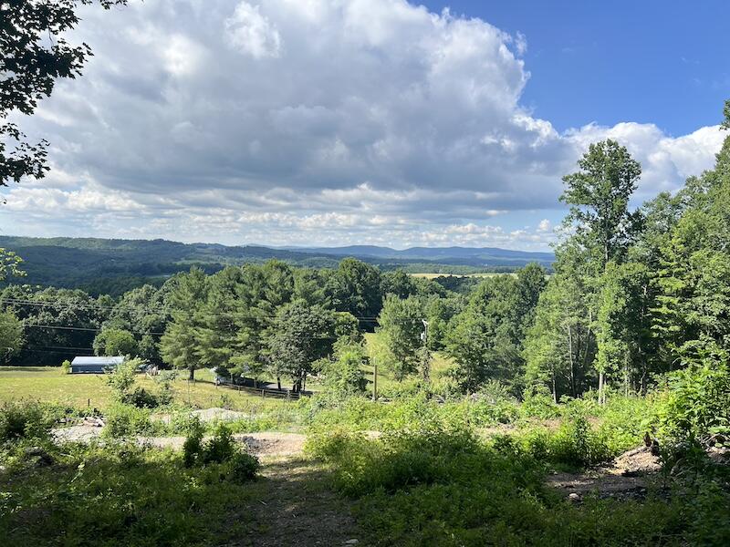 200 Penny Royal Road Pilot, VA 24138 - Photo 1 of 33 a view of a garden