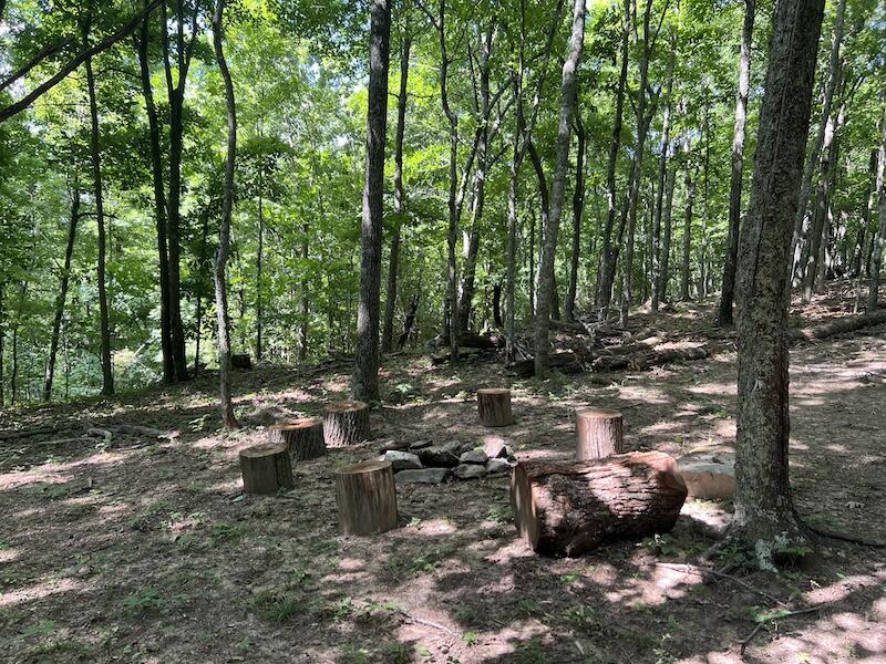 200 Penny Royal Road Pilot, VA 24138 - Photo 16 of 33 a picture of outdoor space with lots of trees