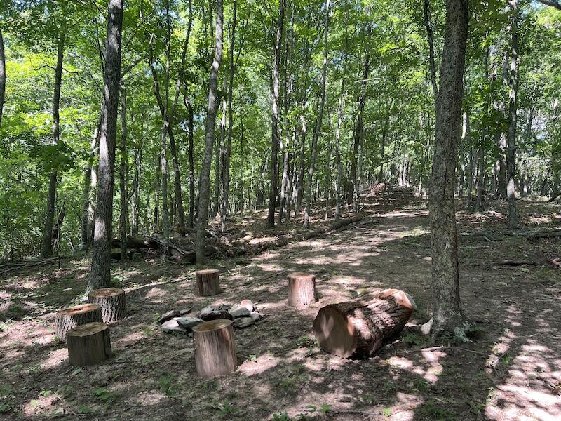 200 Penny Royal Road Pilot, VA 24138 - Photo 17 of 33 a view of a forest with trees
