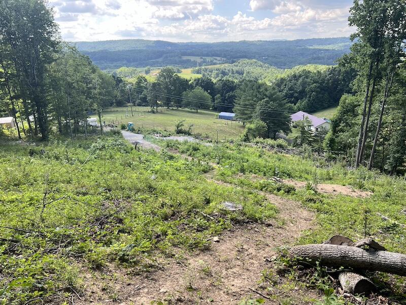 200 Penny Royal Road Pilot, VA 24138 - Photo 6 of 33 a view of outdoor space with mountain view