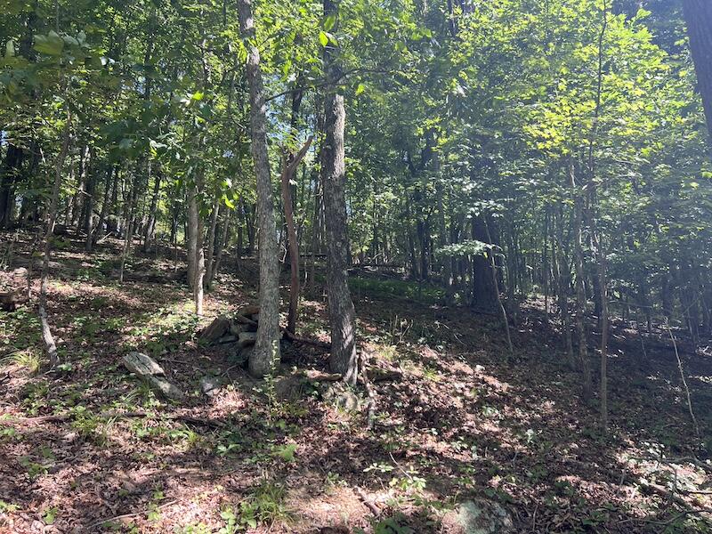 200 Penny Royal Road Pilot, VA 24138 - Photo 10 of 33 a backyard of a house with lots of green space