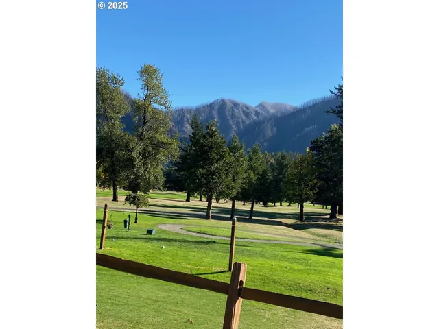 a view of a yard with wooden fence
