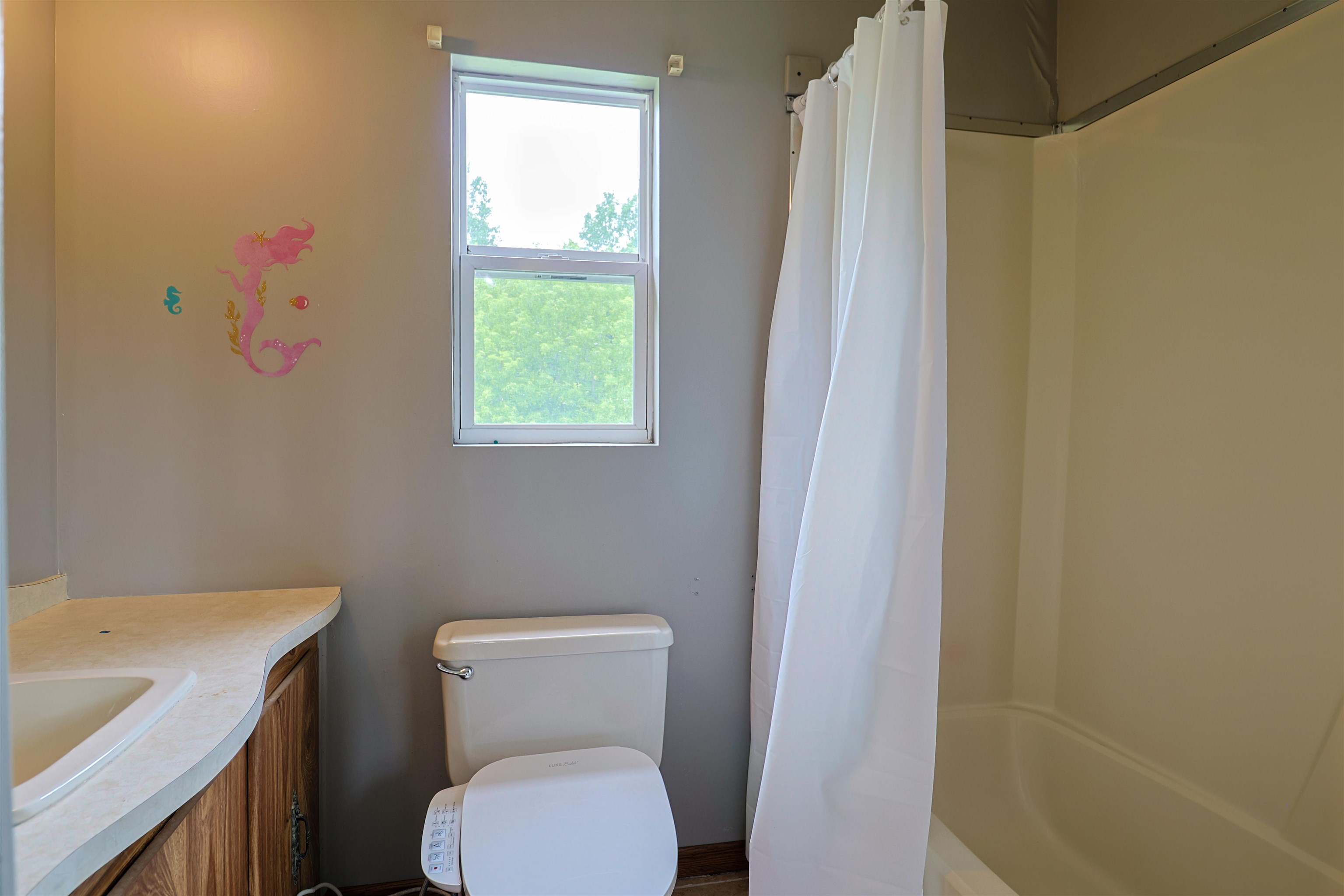 4718 Spur Road Breckenridge, MI 48615 - Photo 11 of 22 1947572-b5d54c2b-7b69-4701-a7a7-bdfeccb13abb.JPG