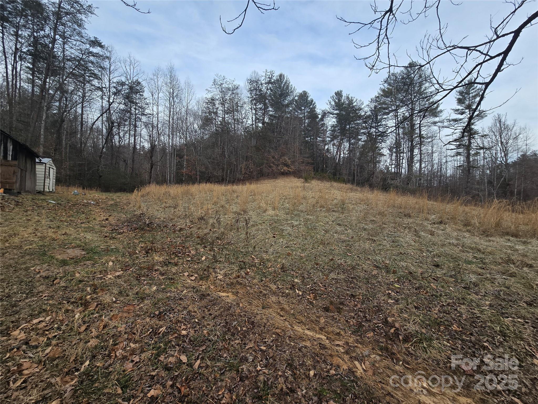 933 Cottrell Hill Road Lenoir, NC 28645 - Photo 6 of 25 Gallery Image 6