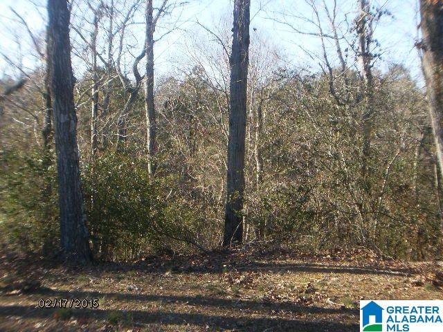 Lot 1 River Oaks Road, Unit LOTS #1 AND 2 Hayden, AL 35079 - Photo 1 of 1