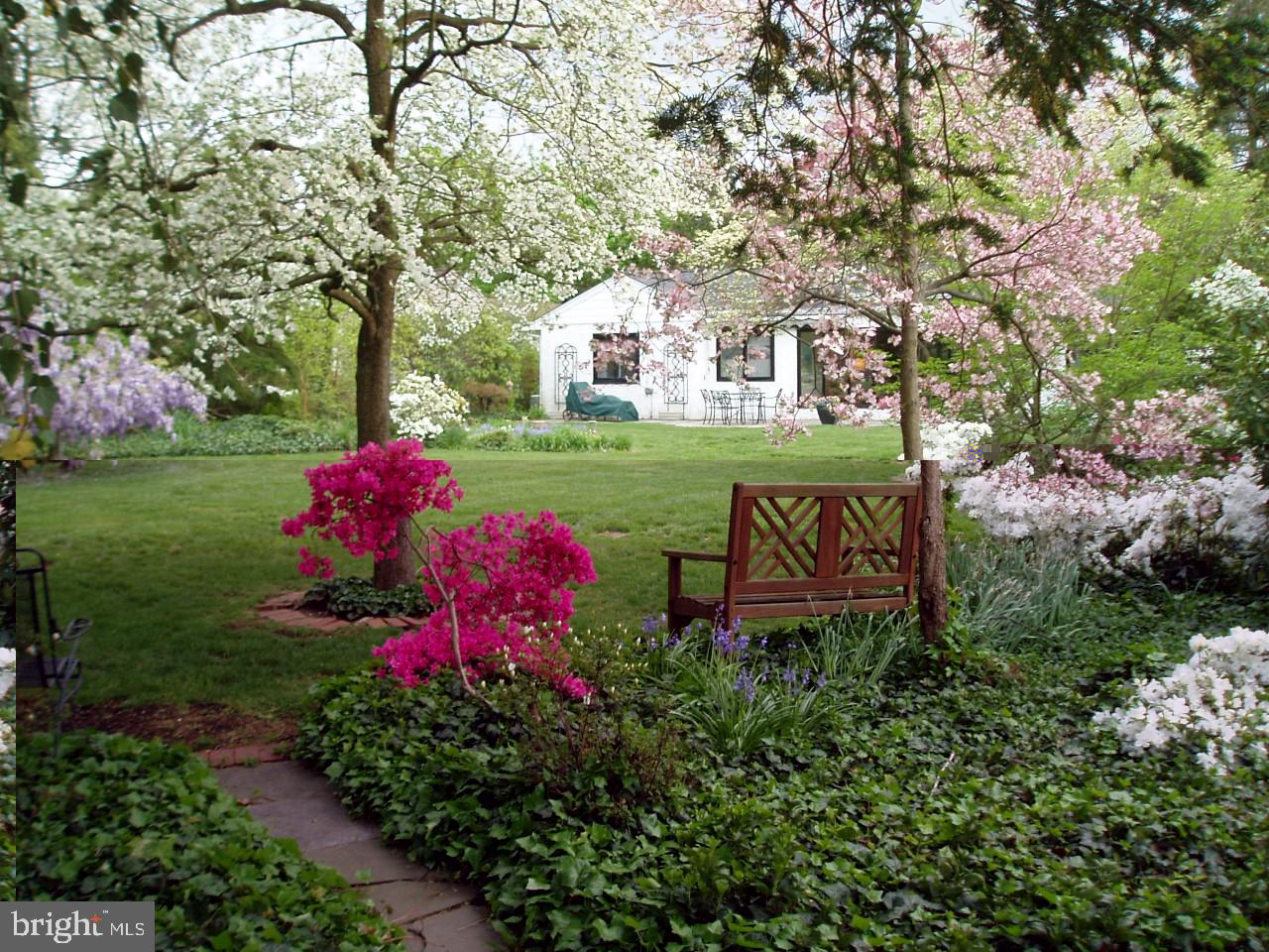1307 Church Road Oreland, PA 19075 - Photo 1 of 28 Rear yard in full bloom