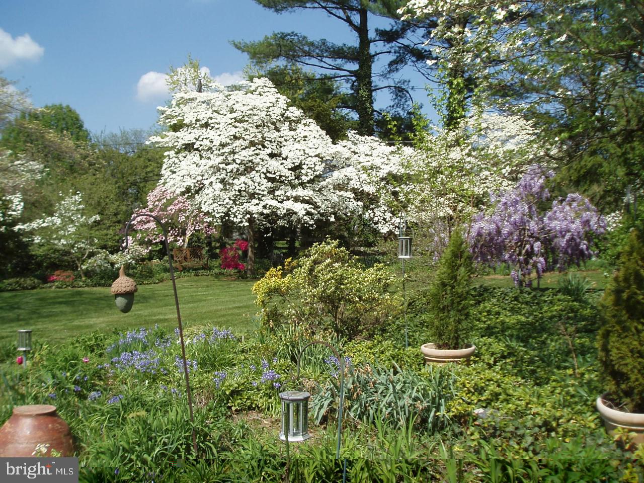 1307 Church Road Oreland, PA 19075 - Photo 27 of 28 Rear yard in bloom