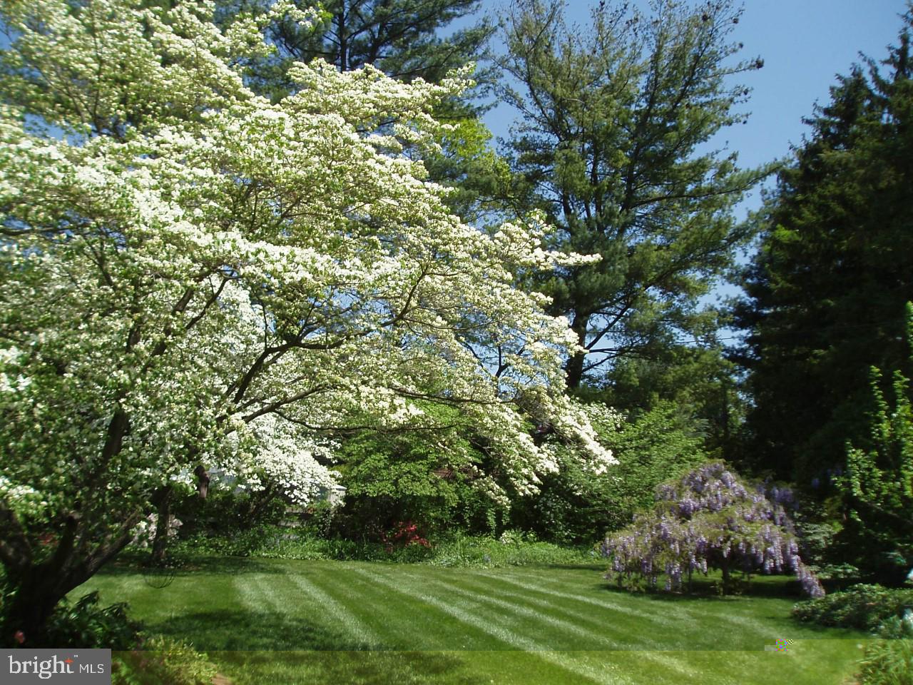 1307 Church Road Oreland, PA 19075 - Photo 28 of 28 Rear yard in bloom