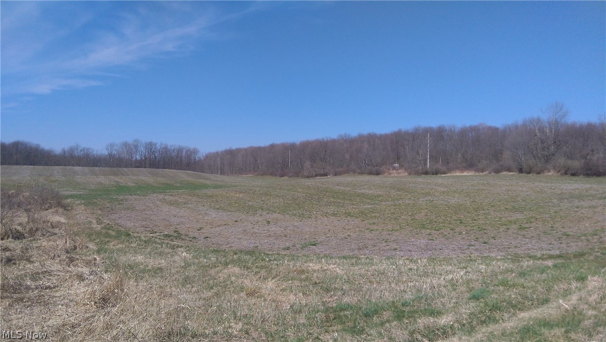 Homeworth Road Homeworth, OH 44634 - Photo 10 of 16
