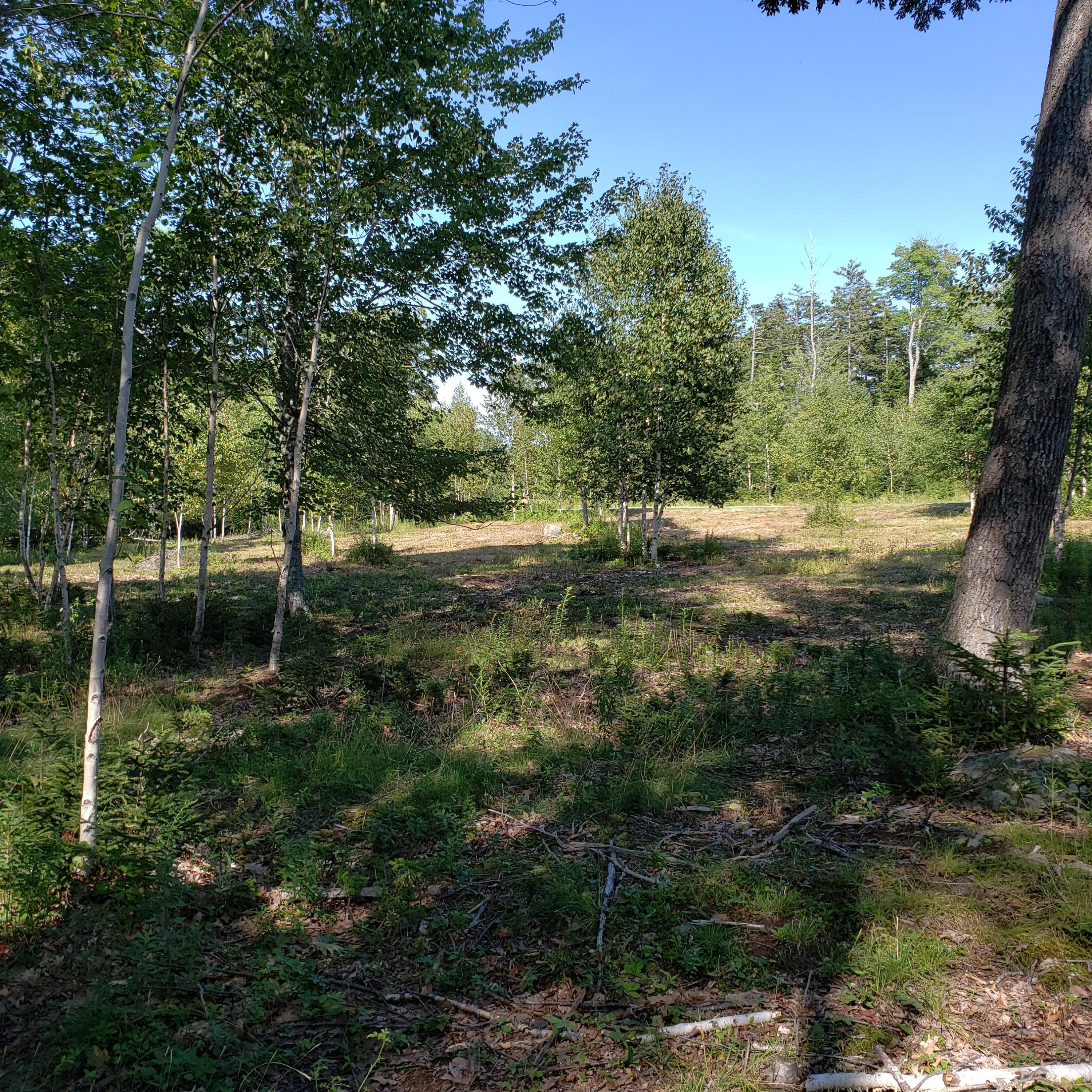 53 Cushing Farm Road New Harbor, ME 04554 - Photo 9 of 17 20190826_152415