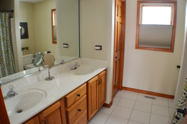 496 Lewis Road Geneva, IL 60134 - Photo 13 of 18 a bathroom with a sink and a mirror