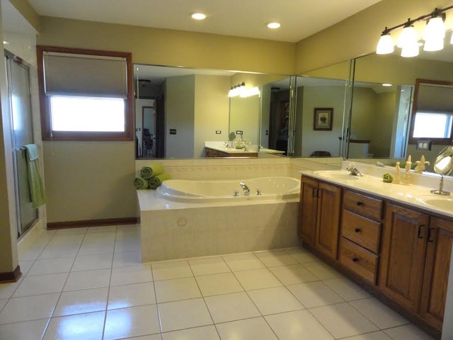 496 Lewis Road Geneva, IL 60134 - Photo 10 of 18 a bathroom with a tub sink and mirror