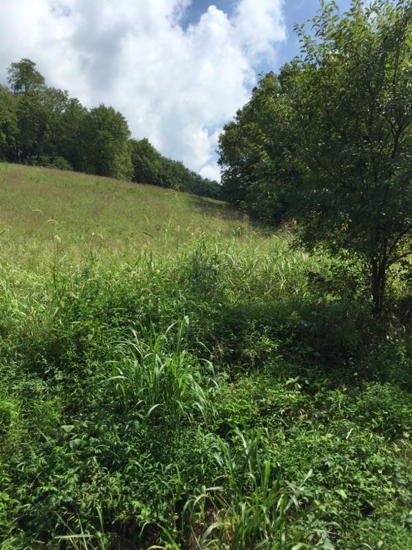 5 A Tom Fitzgerald Road Columbia, TN 38401 - Photo 3 of 4 Gallery Image 3