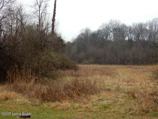 246 Eva-Michelle Lane Shepherdsville, KY 40165 - Photo 28 of 34 DSCN7602