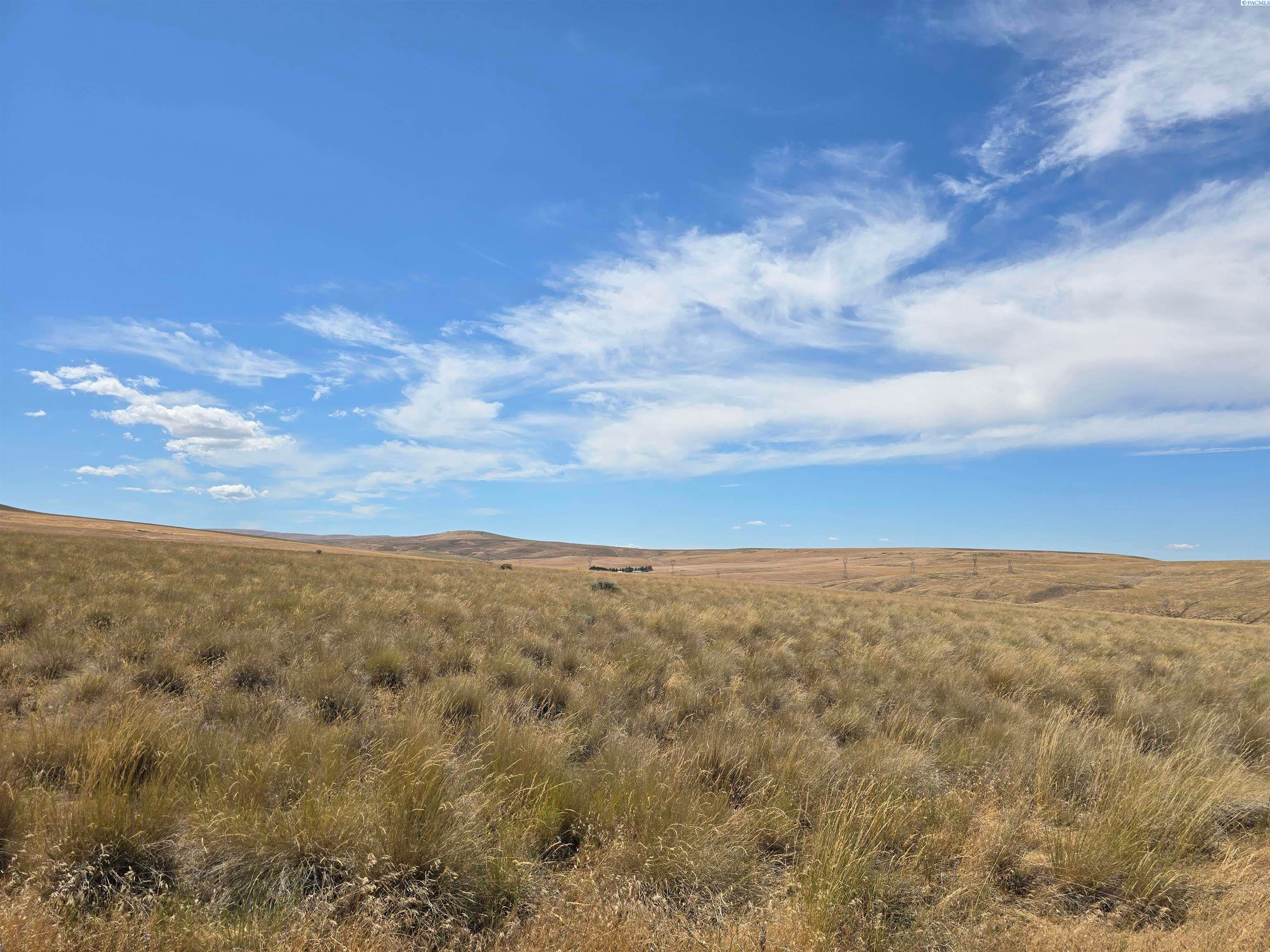 Lot 6 Turpin Road Mabton, WA 98935 - Photo 4 of 10 Gallery Image 4