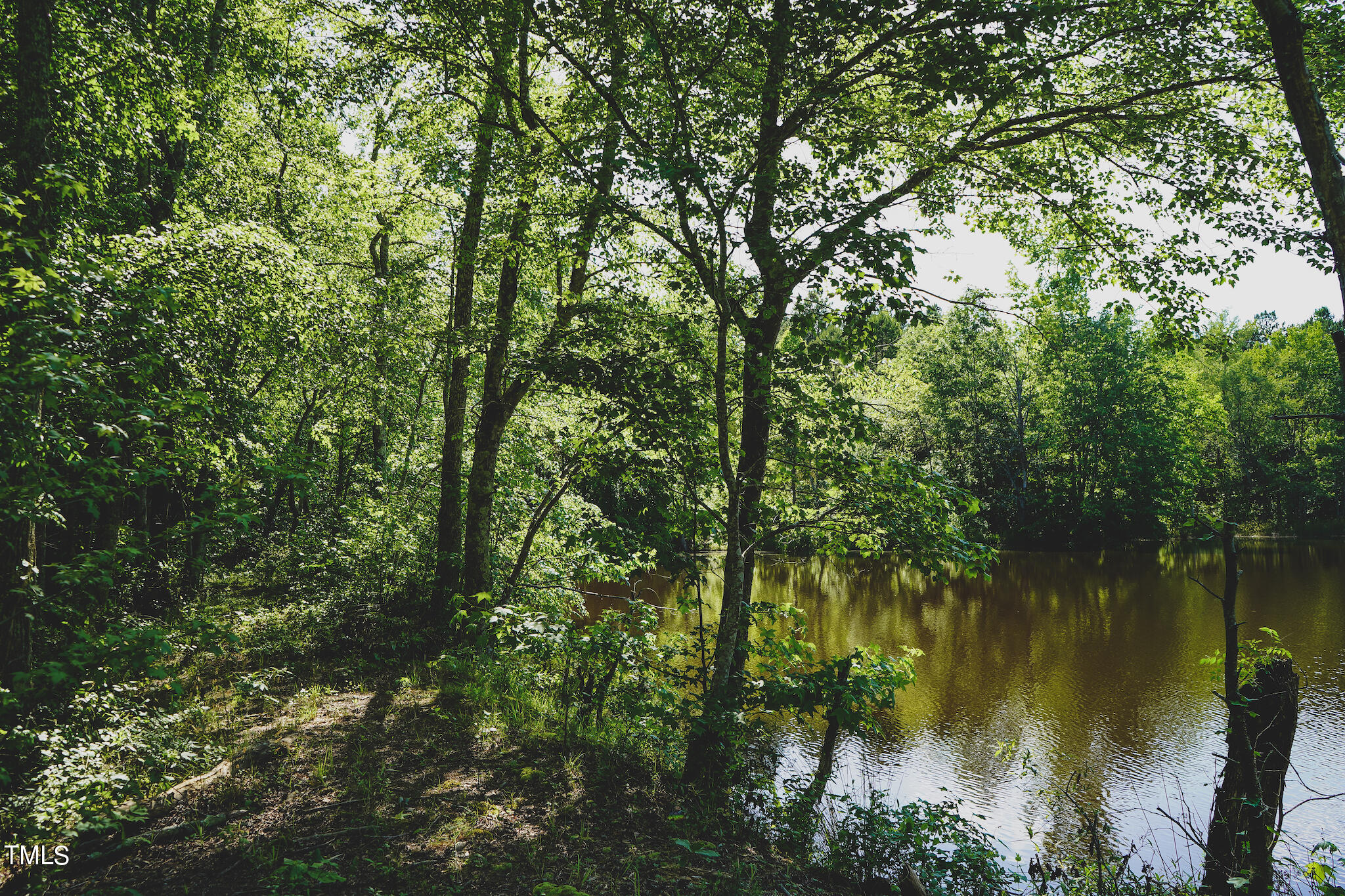 111-acres Hobgood Road Rougemont, NC 27572 - Photo 22 of 65 22