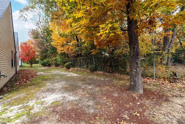 a view of a yard with trees