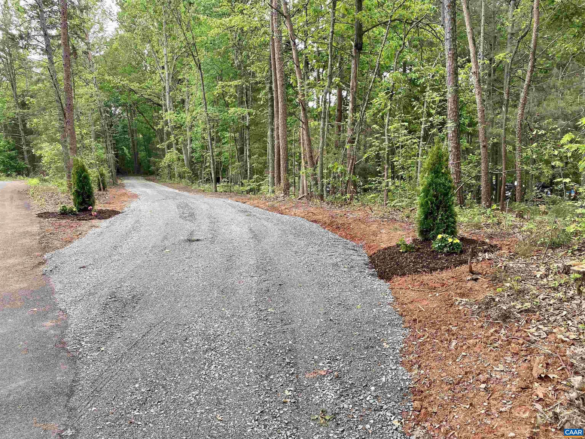 0 Cedar Plains Road, Unit 121036B Sandy Hook, VA 23153 - Photo 1 of 7 a view of a forest filled with trees