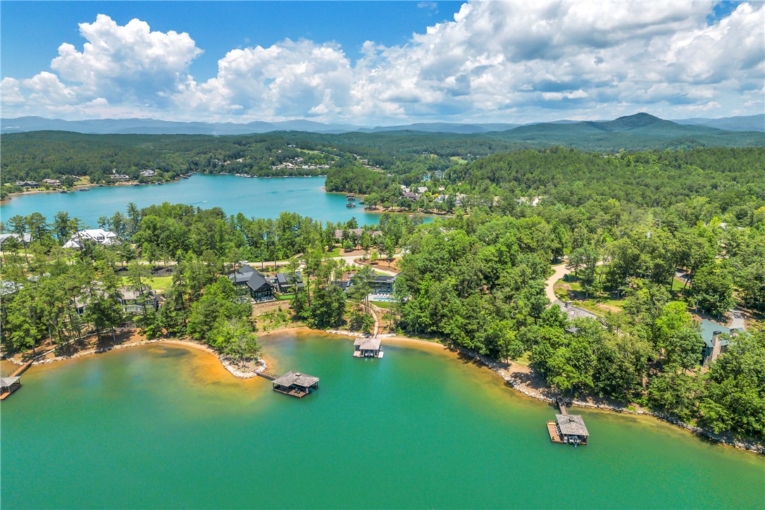 383 Peninsula Ridge Sunset, SC 29685 - Photo 36 of 46