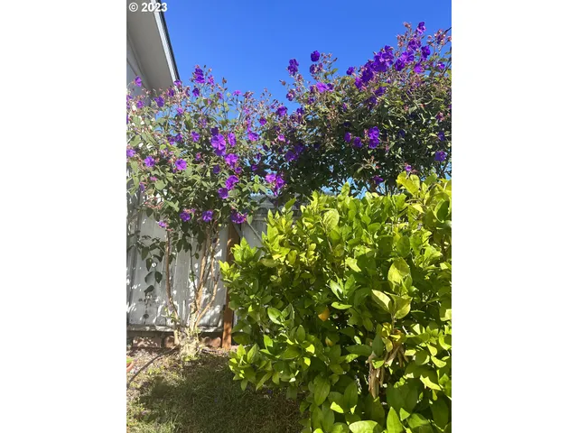 a view of balcony with furniture