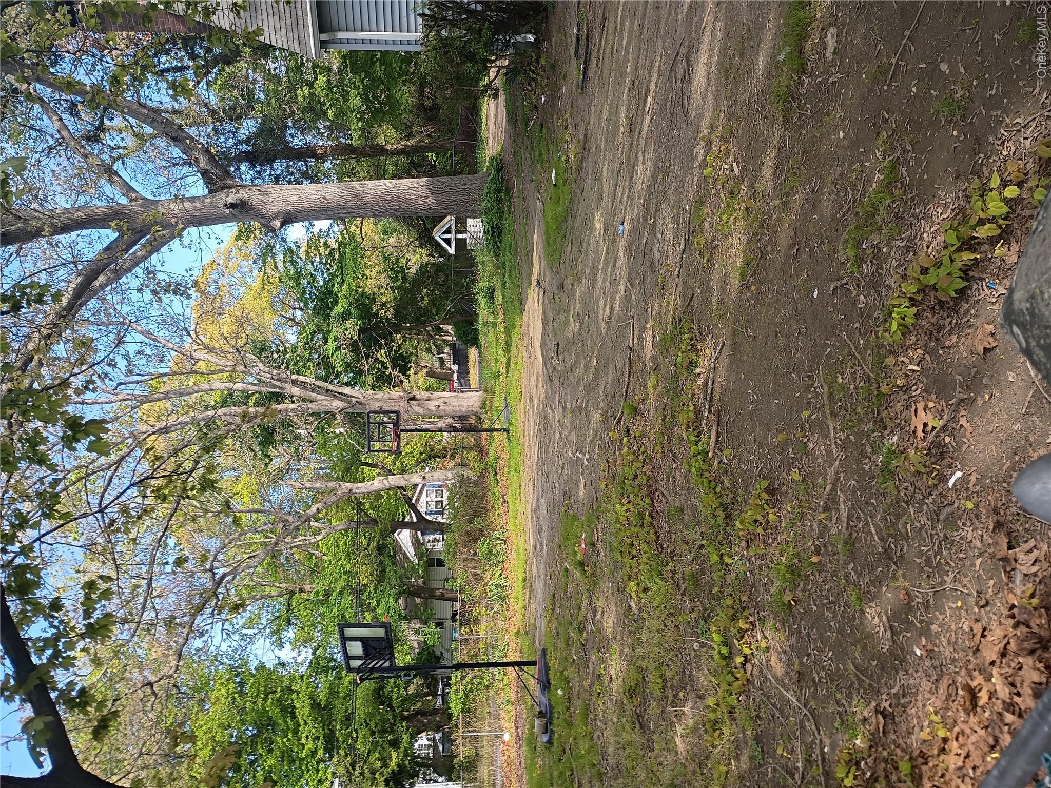 16 Neighborhood Road Mastic Beach, NY 11951 - Photo 3 of 4 a view of a trees in a yard