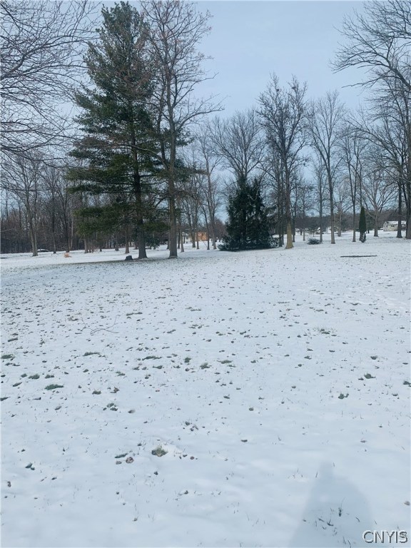 636 Farley's Point Road Union Springs, NY 13160 - Photo 10 of 11 Gallery Image 10