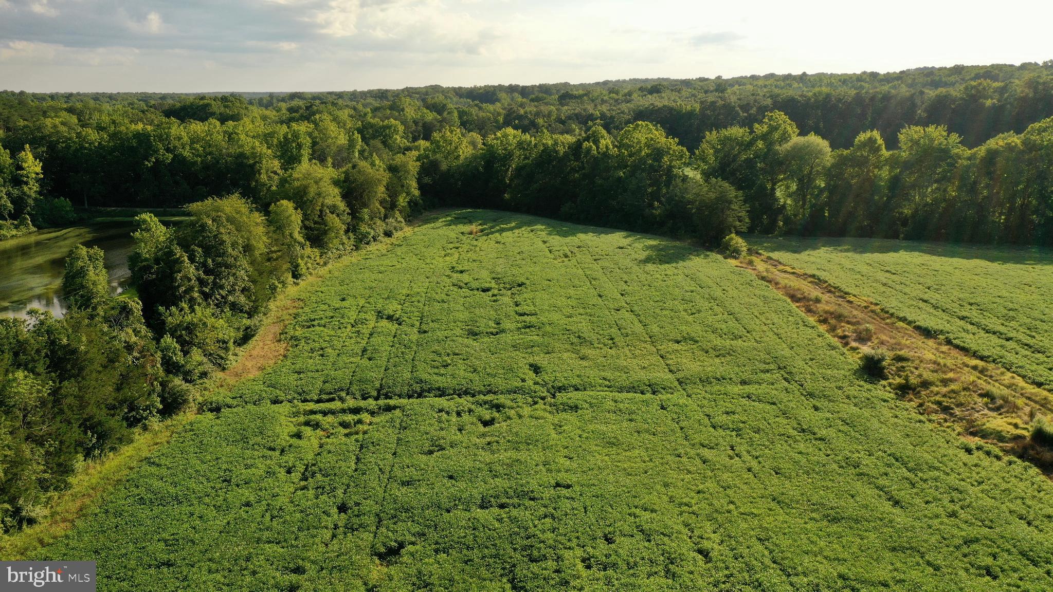 1 Warrenton Road Fredericksburg, VA 22406 - Photo 25 of 54