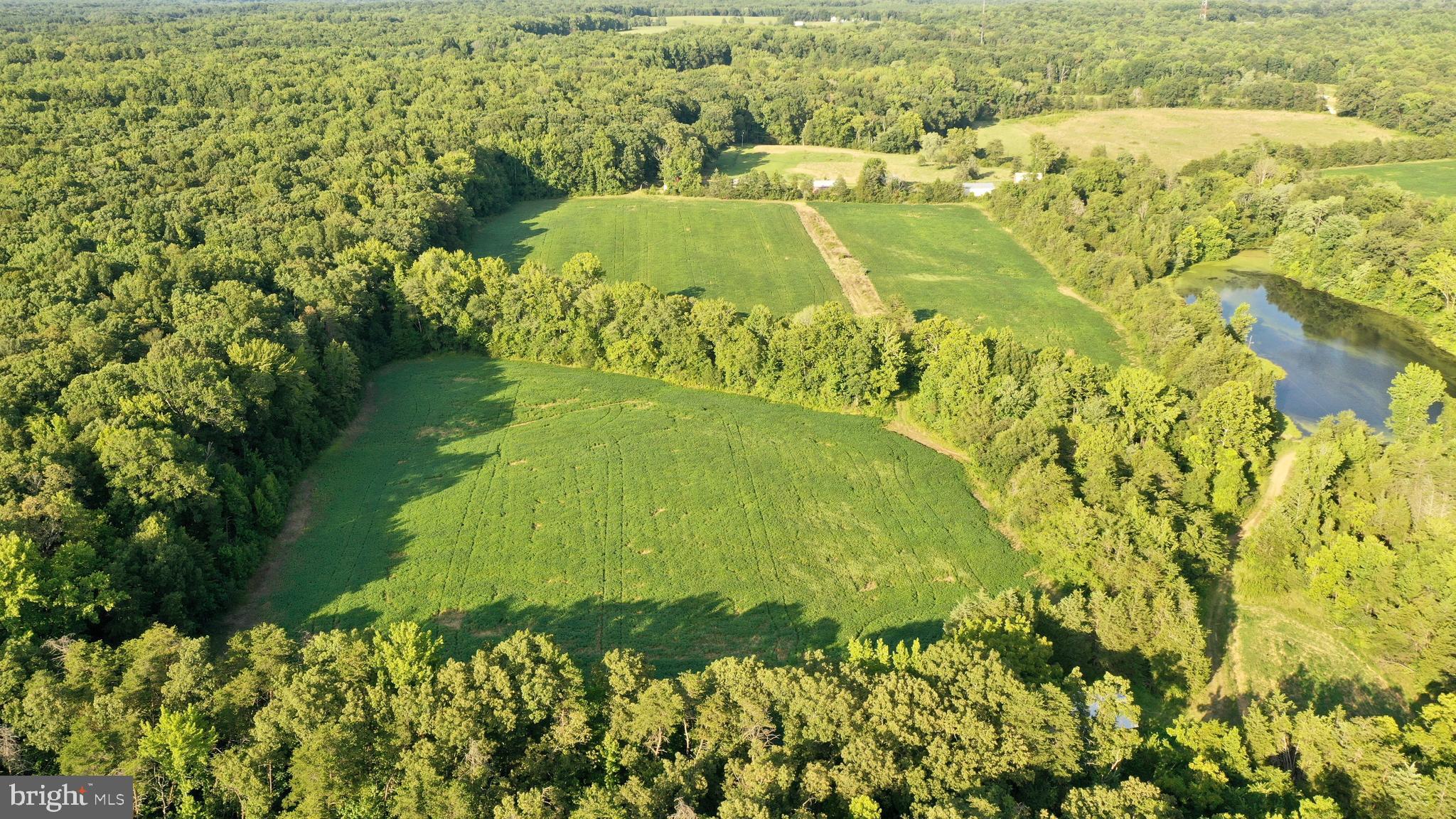 1 Warrenton Road Fredericksburg, VA 22406 - Photo 28 of 54