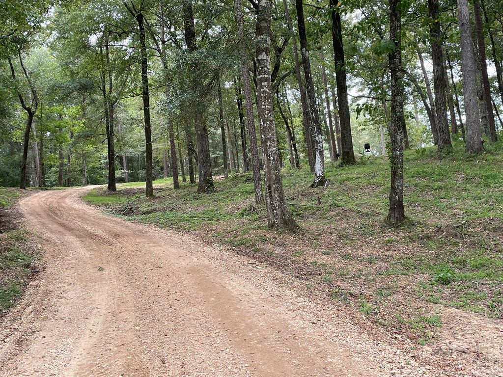 2134 Lloyd Hamilton Road McComb, MS 39648 - Photo 24 of 30 Photo 24