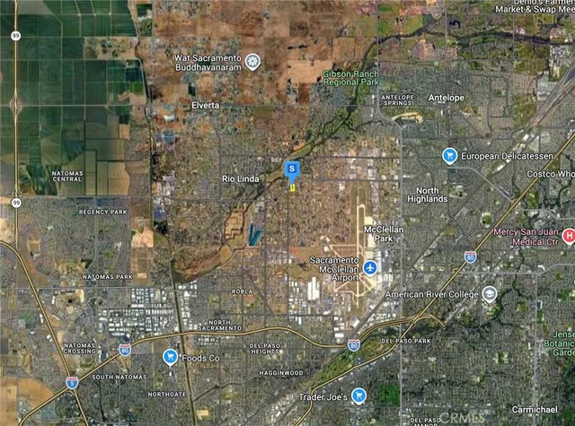 a close up of a tree