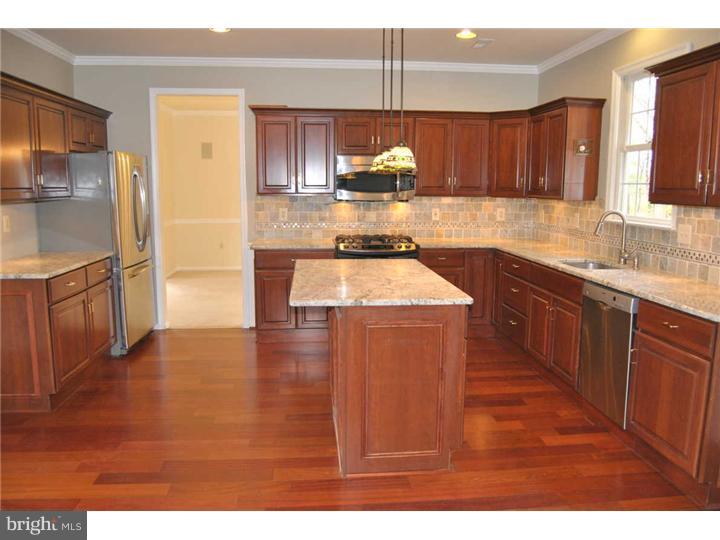 925 Ridgeview Lane Lower Gwynedd, PA 19002 - Photo 3 of 15 Kitchen